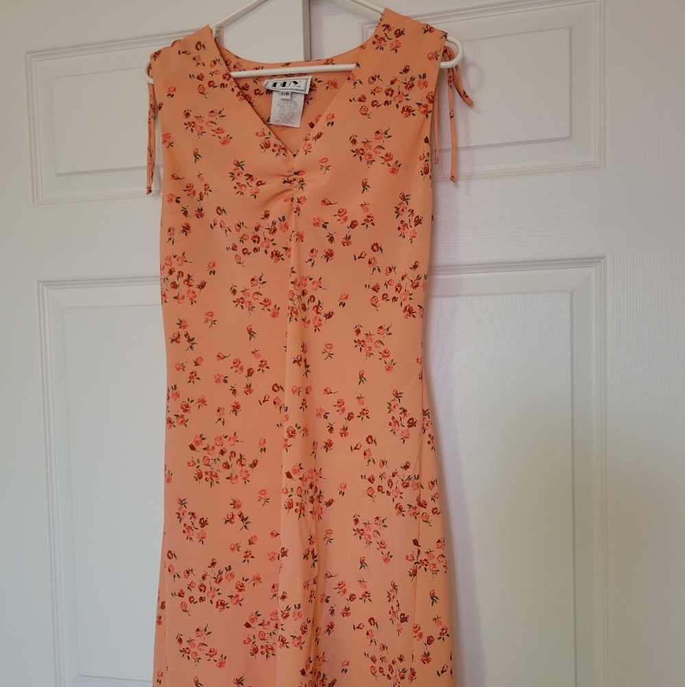 Vintage summer dress with roses